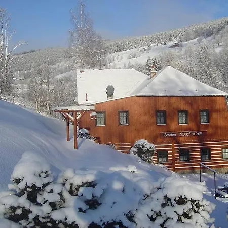 Guest house Stary Mlyn *