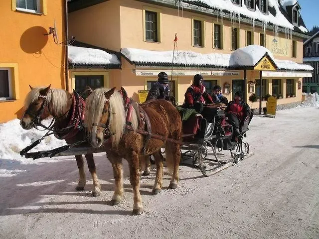 Starý Mlýn Penzion *